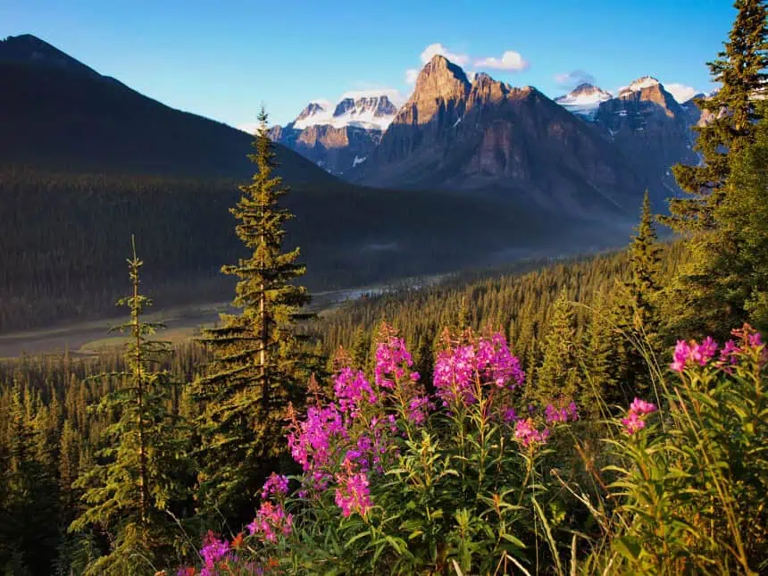 alberta canada_3105 - Weather Alberta: Powerful winds slam Edmonton with rare intensity