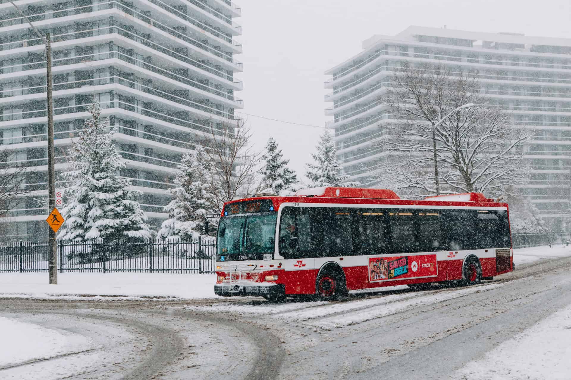frost ontario_0206 - 