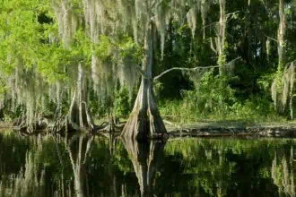 Florida-2107