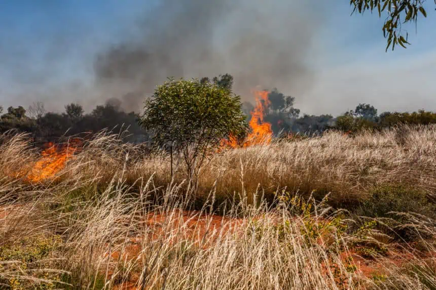 fires in northern ontario-2107 - Weather Alert: Forest Fires Surge Across Northern Ontario